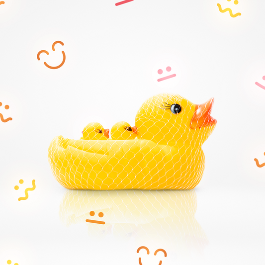 Mother And Baby Duck Family